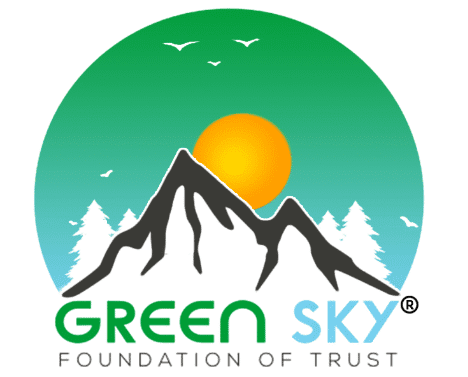 green sky services logo